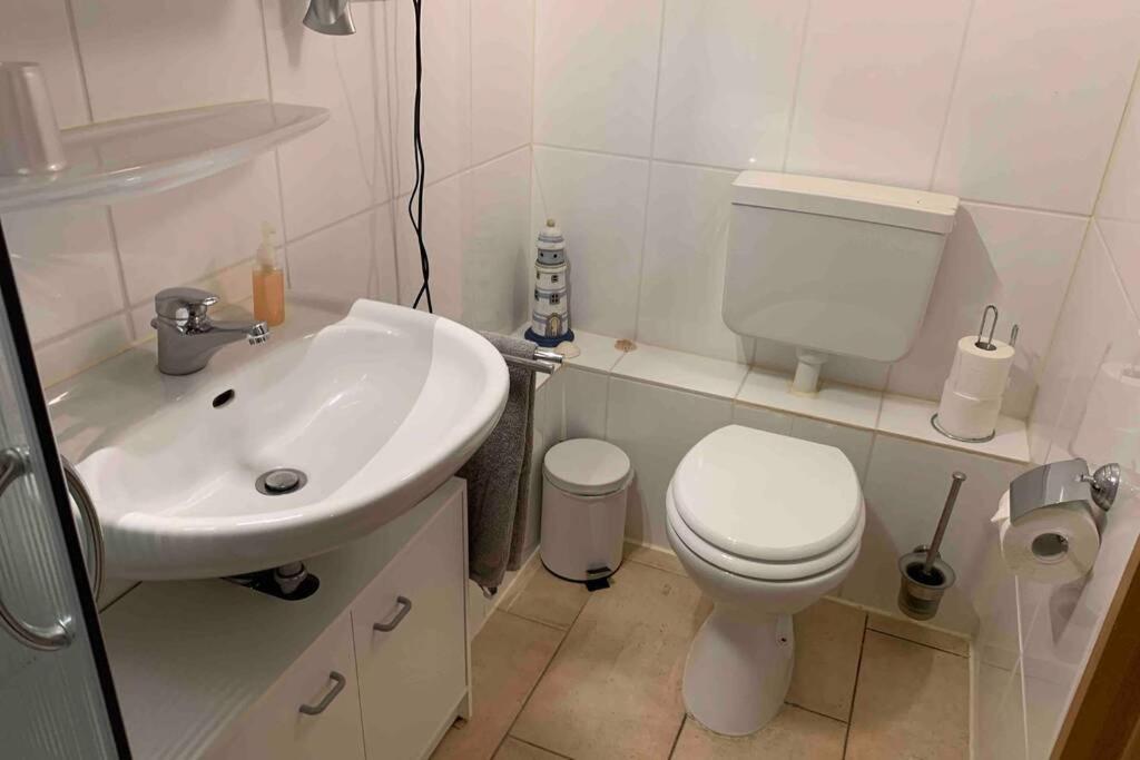 Ferienwohnung Schmidt Rosengarten  外观 照片