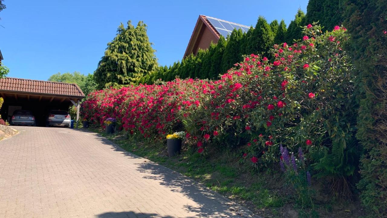 Ferienwohnung Schmidt Rosengarten  外观 照片